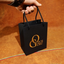 18x15x8 cm Popierinis dovanų maišelis su rankenėlėmis Odos Guru